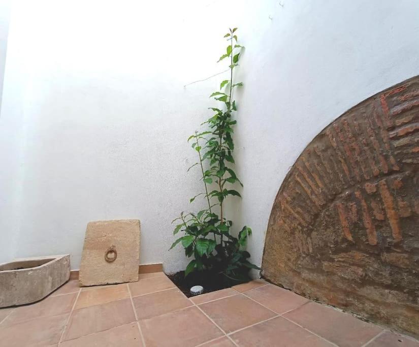 Villa 10 Maria - Distrikt Faro Exterior foto