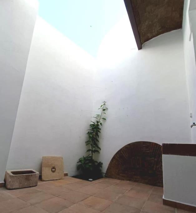 Villa 10 Maria - Distrikt Faro Exterior foto